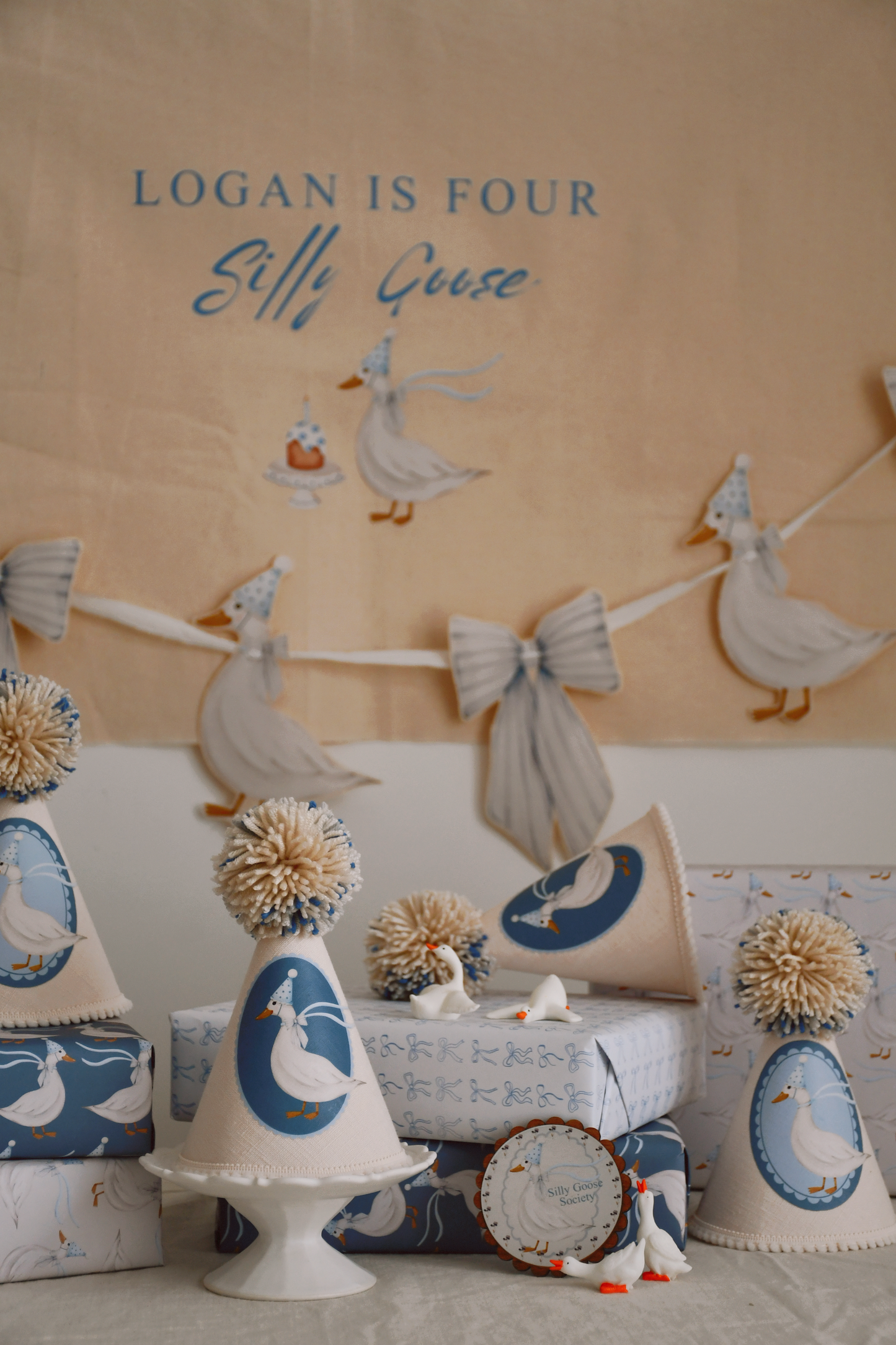 Silly Goose Banner - Add Name & Add Age